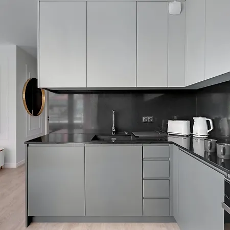 Scala 60h Center Premium With Parking By Lion Apartment